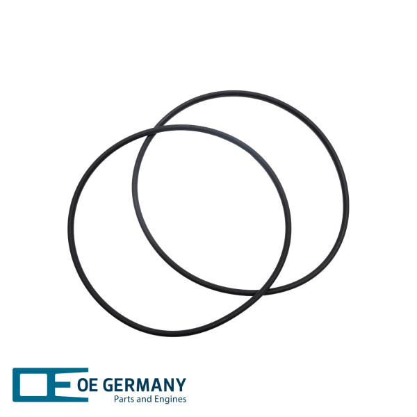 Těsnění válce, o-kroužek - 020111206600 OE Germany - 51.96501-0534, 03535025, 3.10180